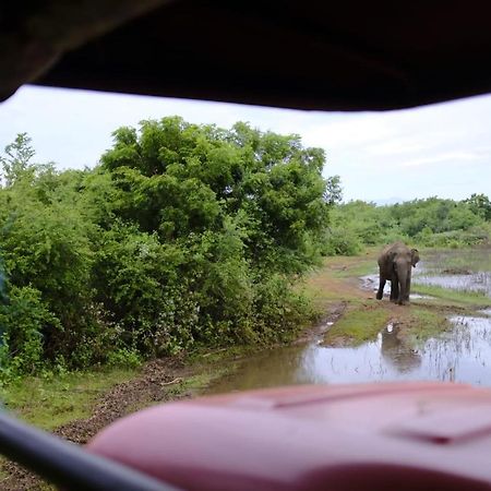 Dimuthu Homestay อุดาวาลาเว ภายนอก รูปภาพ